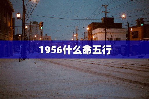 1956什么命五行