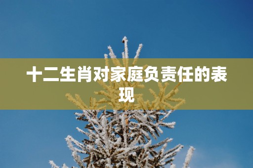 十二生肖对家庭负责任的表现