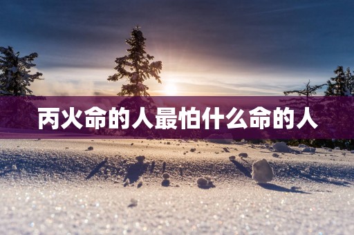 丙火命的人最怕什么命的人