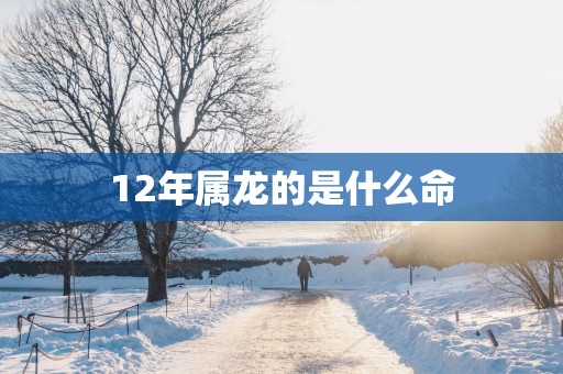12年属龙的是什么命