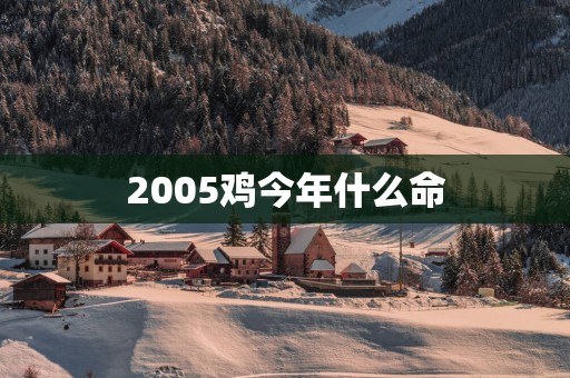 2005鸡今年什么命