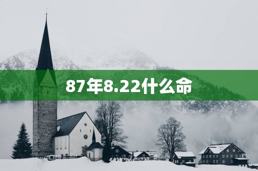 87年8.22什么命