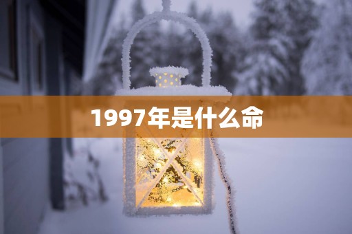 1997年是什么命