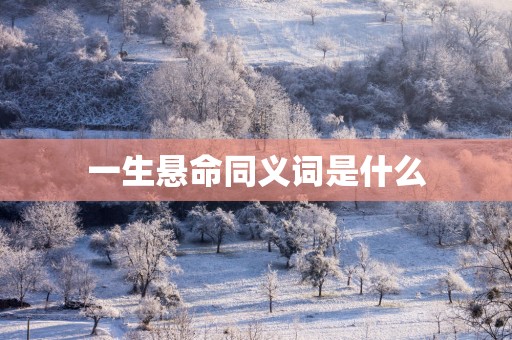 一生悬命同义词是什么