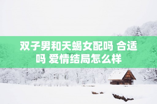 双子男和天蝎女配吗 合适吗 爱情结局怎么样