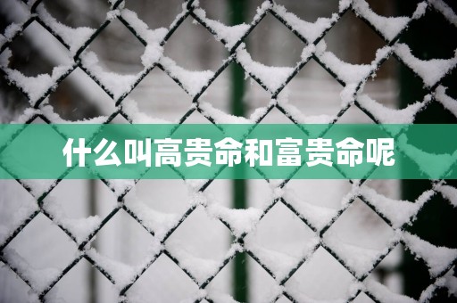 什么叫高贵命和富贵命呢