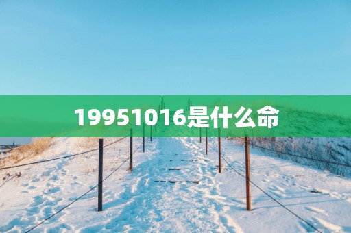 19951016是什么命