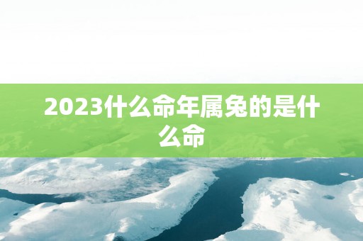 2025什么命年属兔的是什么命