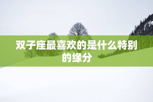 双子座最喜欢的是什么特别的缘分