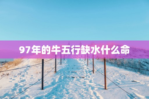 97年的牛五行缺水什么命