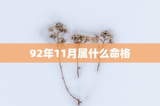 92年11月属什么命格