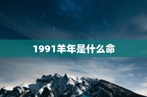1991羊年是什么命