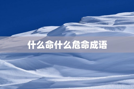 什么命什么危命成语