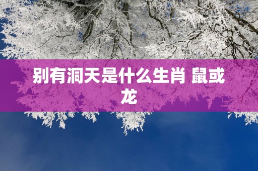 别有洞天是什么生肖 鼠或龙
