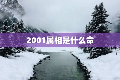2001属相是什么命