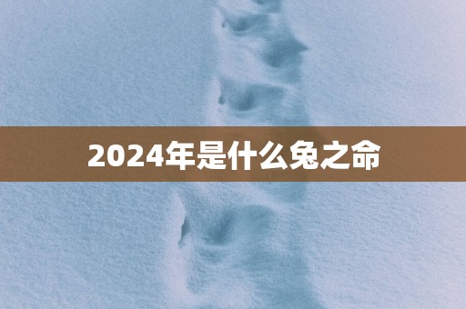 2025年是什么兔之命