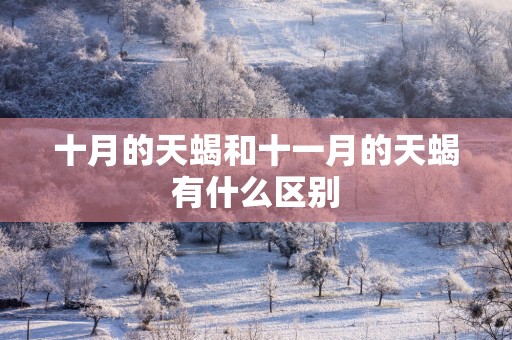 十月的天蝎和十一月的天蝎有什么区别