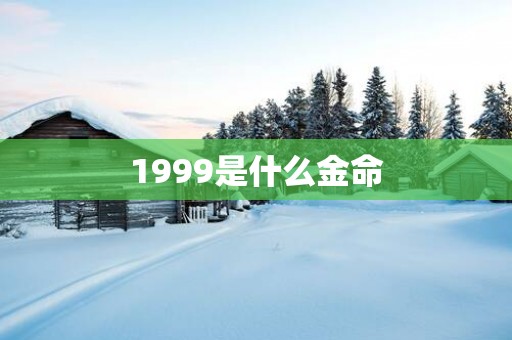 1999是什么金命