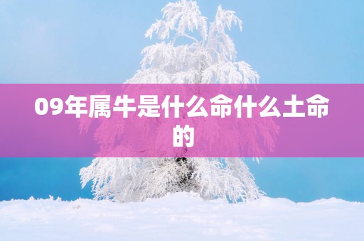 09年属牛是什么命什么土命的