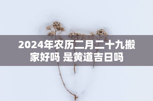 2025年农历二月二十九搬家好吗 是黄道吉日吗