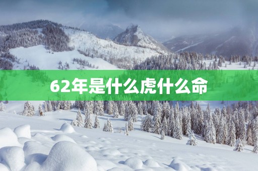 62年是什么虎什么命