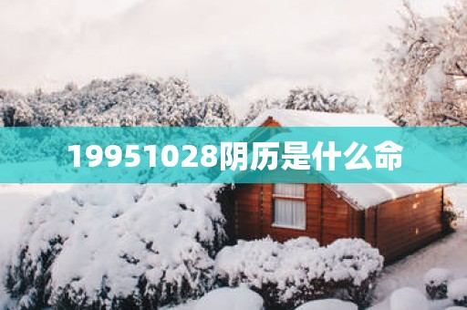 19951028阴历是什么命