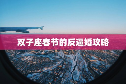 双子座春节的反逼婚攻略