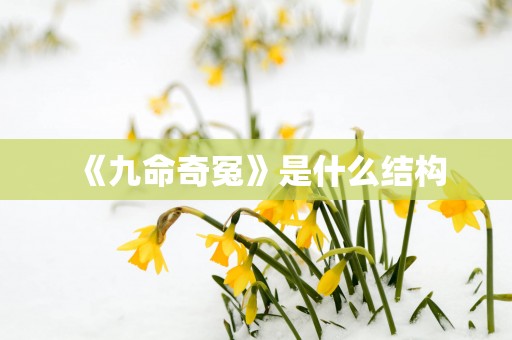 《九命奇冤》是什么结构