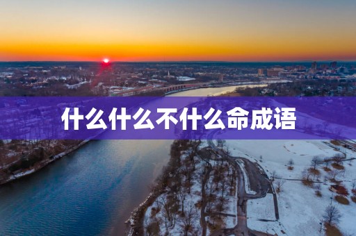 什么什么不什么命成语