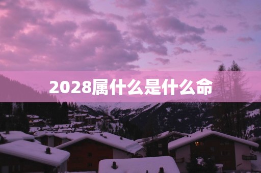 2028属什么是什么命