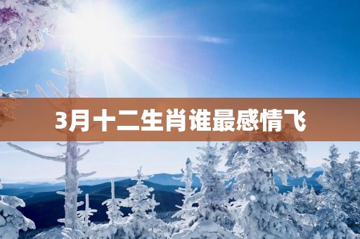 3月十二生肖谁最感情飞