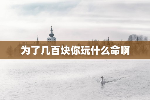 为了几百块你玩什么命啊