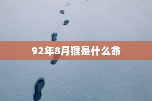 92年8月猴是什么命