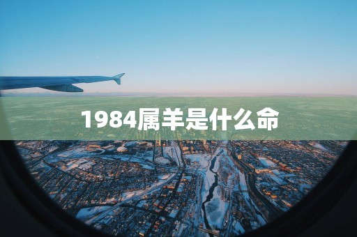 1984属羊是什么命