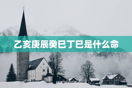 乙亥庚辰癸巳丁巳是什么命