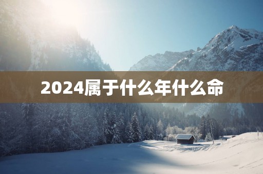 2025属于什么年什么命
