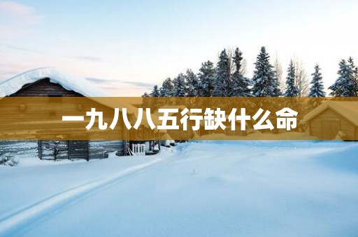 一九八八五行缺什么命