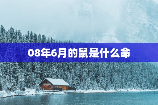 08年6月的鼠是什么命