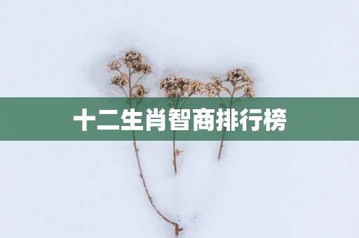 十二生肖智商排行榜