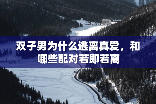 双子男为什么逃离真爱，和哪些配对若即若离