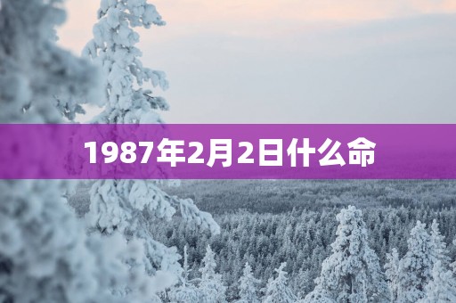 1987年2月2日什么命
