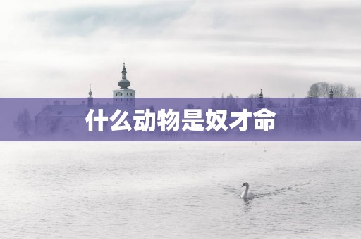 什么动物是奴才命