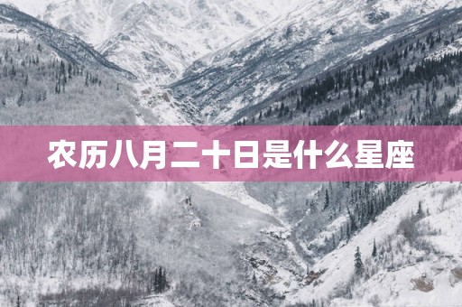 农历八月二十日是什么星座