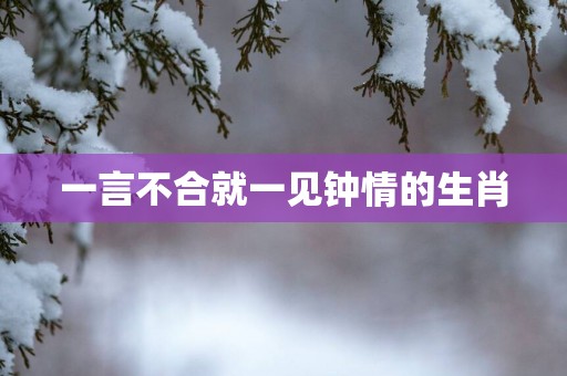 一言不合就一见钟情的生肖