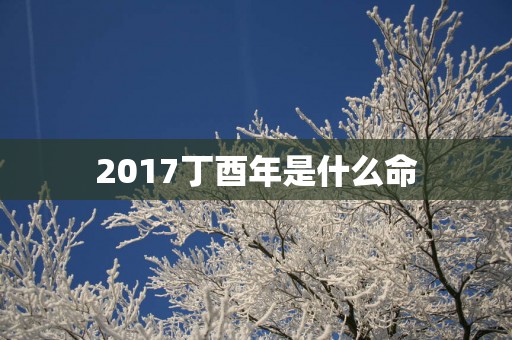 2017丁酉年是什么命