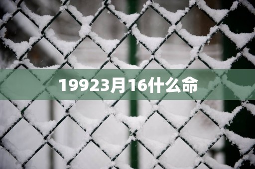 19923月16什么命