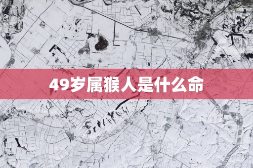 49岁属猴人是什么命