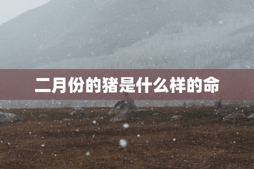 二月份的猪是什么样的命