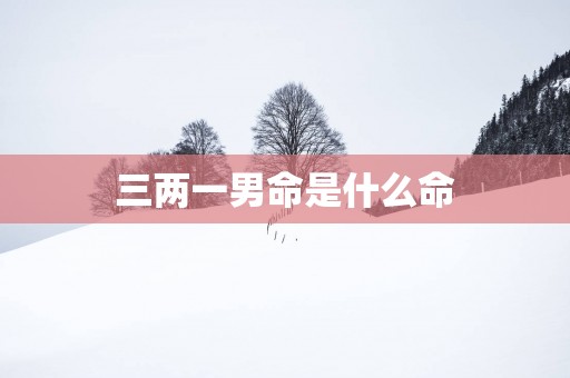 三两一男命是什么命