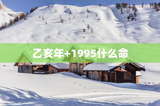 乙亥年+1995什么命
